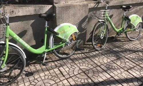 天津自行车爆料视频大全,揭秘行业风云与传奇故事